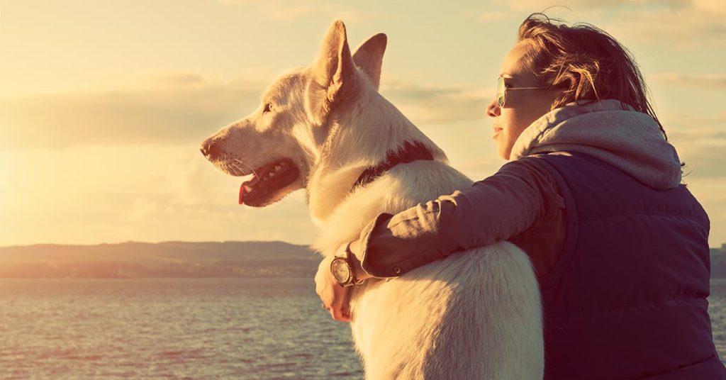 Junge Frau legt ihren linken Arm um ihren Hund und beide blicken auf den Sonnenaufgang | Partner Immobilienverkauf